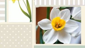 поздравления с днем рождения золовке