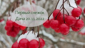 Прогулка по первому снежку на даче.. | Vlog дача как есть. Хроника 20.11.2022