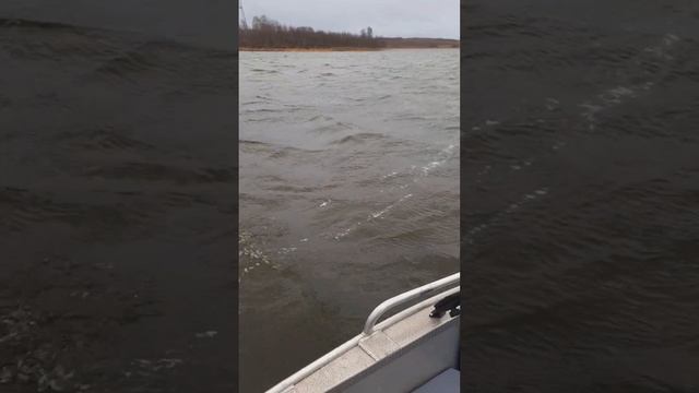 GPS якорь Sea -pro 65lb электромотор работа при сильном ветре. смотреть онлайн