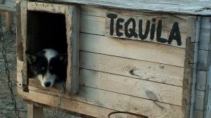 Ледяные Острова 1/4 • Шпицберген