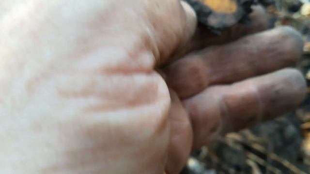 Копаю монеты в заброшенных деревнях.( ### №-16 ) смотреть онлайн