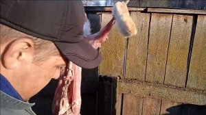 Забій кролика. І як розібрати тушку. Не для глядачів з слабкими нервами.#кролики #разделкакролика