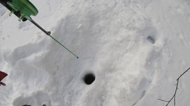 Хариус в марте.Рыбалка с местными рыбаками."Лед не тронулся". смотреть онлайн