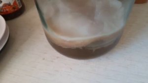 Чайный грибок,убегает из банки!??