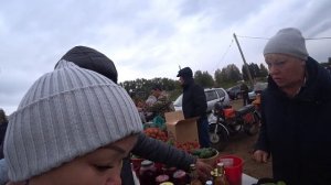 БАХТА, 10 ДНЕЙ КАЙФА| 1 часть т. А .Матросов