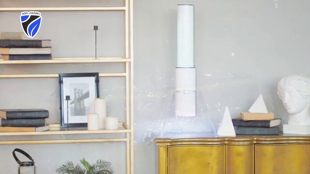 Ролик открытия нашего второго магазина смотреть онлайн