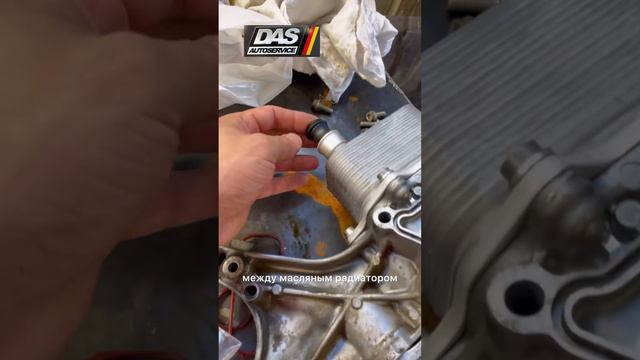 Замена масляного радиатора (теплообменника) на SKODA OCTAVIA A7-EA888gen3. #das #automobile #авто смотреть онлайн
