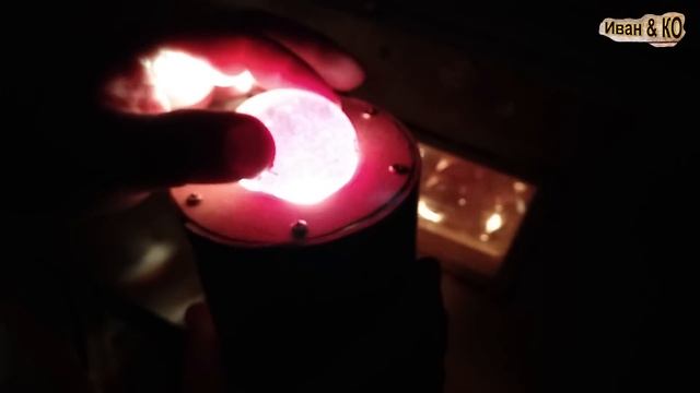 Овоскопирование куриных и перепелиных яиц