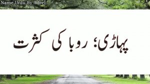 Ruban Name Meaning In Urdu | Ruban Naam Ka Matlab Kya Hota Hai | Ruban Meaning in Urdu | Name Meani