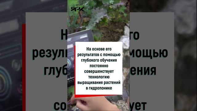 Умная ферма ИНК, гидропоника, гидропоника в России, наука в России, Институт научных коммуникаций