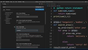 # 10 Cursor Setting Visual Studio Code