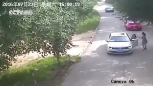 Нападение тигра на человека! Камера сняла, как тигр убил женщину в сафари парке Китая 1