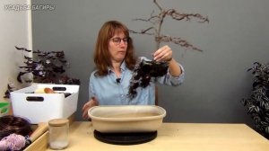 11.Бонсай из бука (ч.11).