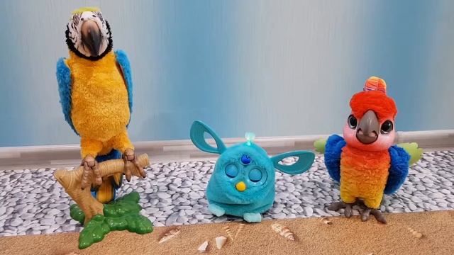 Фёрби коннект поделка и 2 попугая (тест на общение) смотреть онлайн