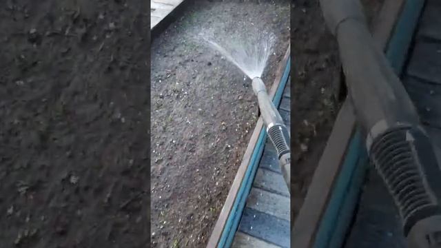 Мульчирование грядки мхом. 2019г.