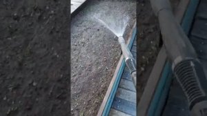Мульчирование грядки мхом. 2019г.