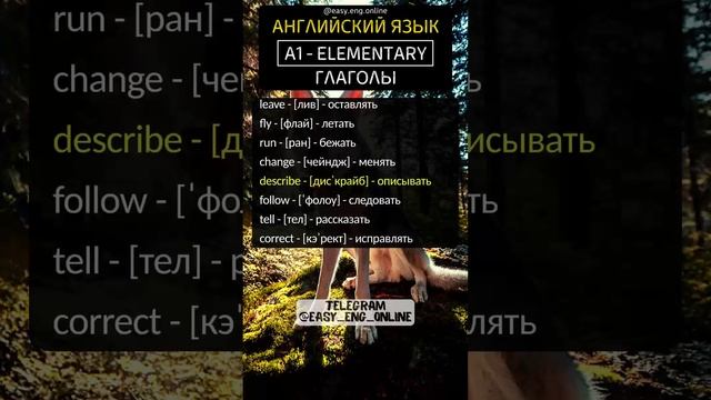 ???УЧИ ТАК АНГЛИЙСКИЙ?Популярные слова в английском языке‼️