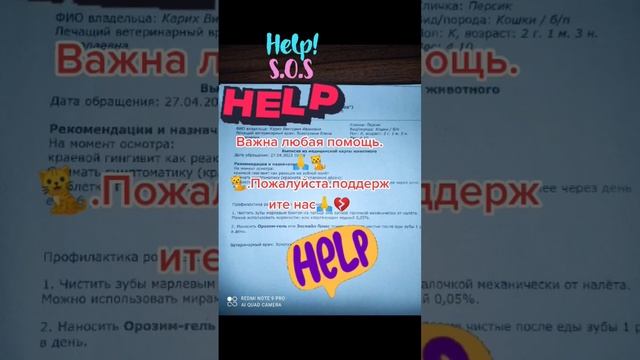 #нужнапомощь #помощьживотным #приют #милосердие #добро #cat #dog #болеем #реквизиты