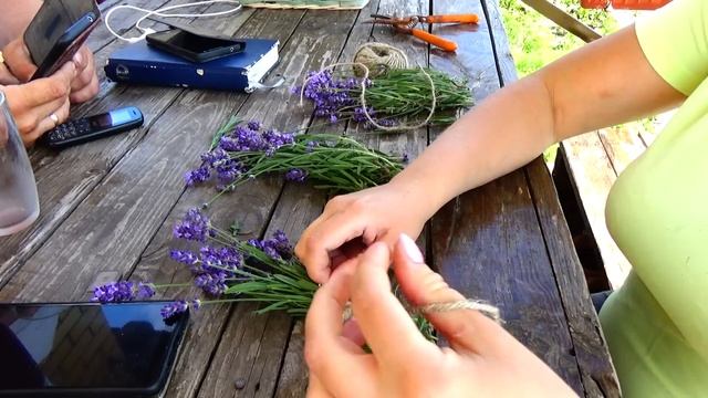 Классная Посылка TDekor(Иваново)/Стрижка Газона/Лаванда от Моли/Подкормка Клубники/Ремонт смотреть онлайн