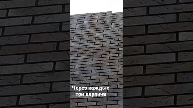 вент вентзазорвоздушнаяпрослойкавенткоробочкавентилируетсямеждугазикомоблицовкой