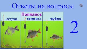 🐟Ответы на вопросы-2, к Видео "Огрузка, Поклёвки, Любительская оснастка Поплавочной удочки" Рыбалка
