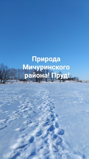 Природа солнечная! Прекрасный мир и видение жизненных сил! На пруду! Заряд Энергией!