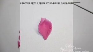 Английская роза из самозатвердевающей полимерной глины. Rose made of polymer clay.