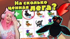ФАЗАН и БАРСУК новые питомцы Adopt me! Будут ли они ценится в будущем? ОСЕНЬ АДОПТ МИ Roblox