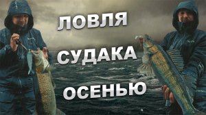 ЛОВЛЯ СУДАКА ОСЕНЬЮ