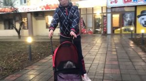 Ferplast Globetrotter коляска для собак