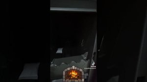 Plamen 850 Glas Kamin Kaminofen Küchenofen Holzofen Backofen