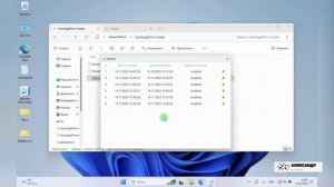 Что такое версии файлов в Synology Drive и что с ними не так
