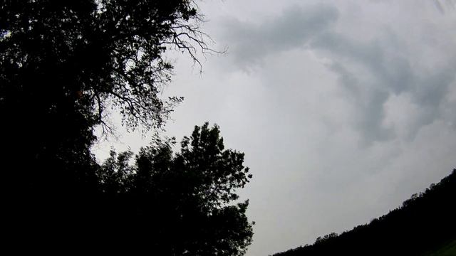 Рыба ЕСТЬ, она не может не ЕСТЬ. (наверное). смотреть онлайн