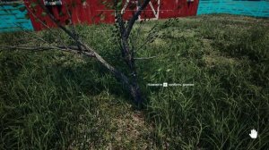 Ranch Simulator #3 - Строим амбар, покупка джипа и свиней!