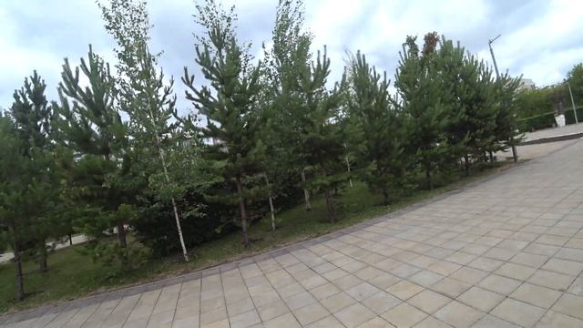 Караганда | скверик облакимата обделали и густо засадили ёлками и берёзами, выход на Ерубаева 2021г