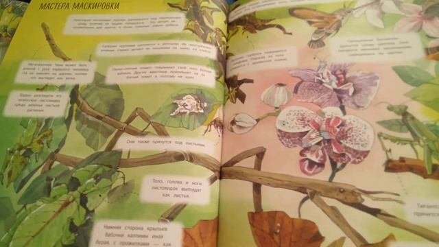 Обзор Большой книги о НАСЕКОМЫХ +4 огромных раскладные страницы, издательство #эксмодетство