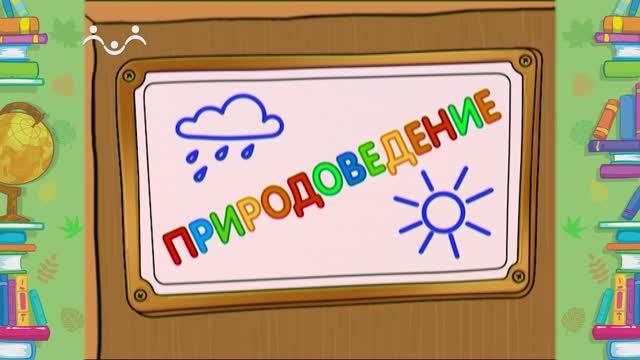 Школа Шишкиного Леса. Природоведение. Что такое тень