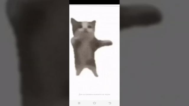 хапи хапи хапи😮 #meme #люблювас #хочувреки #ЛЯМОЧКА смотреть онлайн