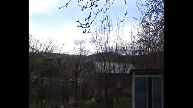 Рассада табака после недели в парнике смотреть онлайн