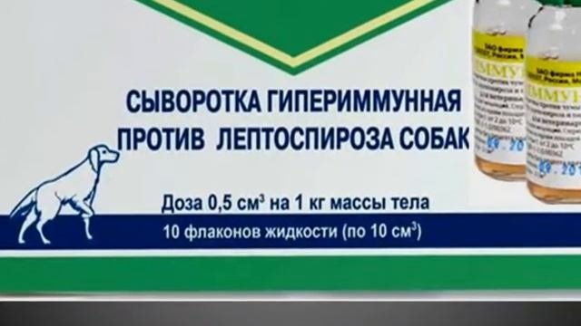 Видеозанятие 9. Специфическая профилактика инфекционных болезней