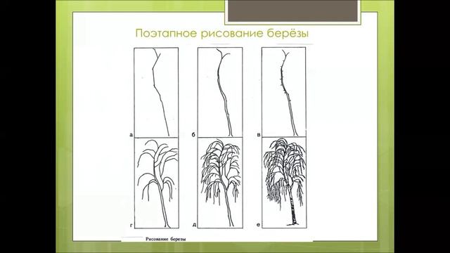 Чёрно белая графика  Деревья  6 класс изо  Учитель Н Н  Шаронова