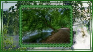 Ты кукуй,кукушка