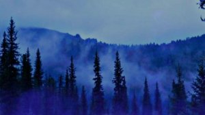 Prismo - stronger (Перевод)