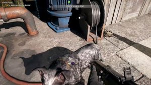 Far Cry 5 Boat House Key Location | How To Complete Sunken Funds Very Easy