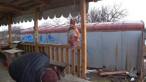 Разделка кабана по-украински
