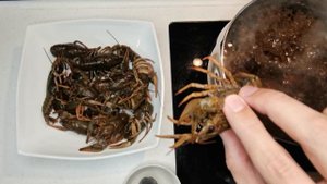 Как варить раков ВКУСНО. Классический рецепт приготовления раков.