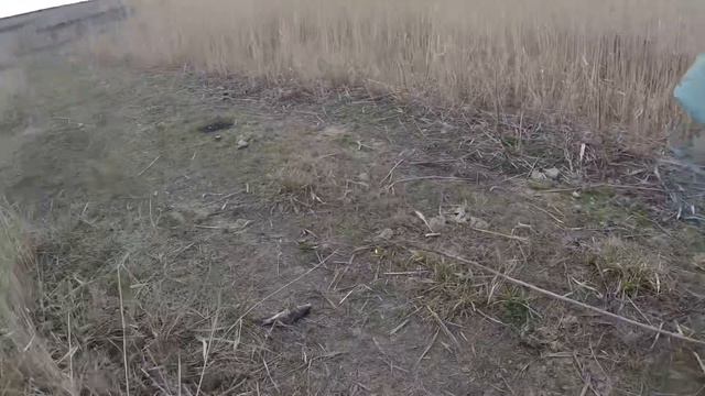 ПОЕХАЛИ С ЖЕНОЙ на КАРАСЯ, А ПРУТ на ПАЛКУ ОНИ... Весенняя рыбалка на поплавок 2021