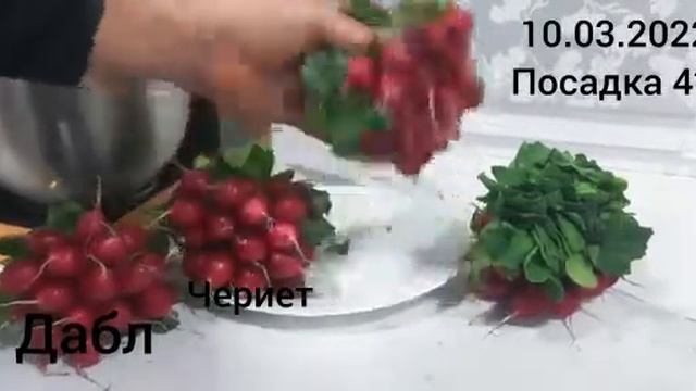 редис дабл и т.д смотреть онлайн