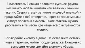 Как избавиться от мелких мошек