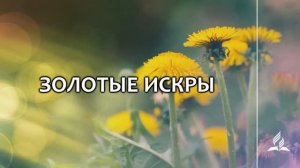 №333 Золотые искры (тематическое оформление) _ Караоке с голосом _ Гимны надежды